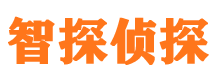 蓟州市私家侦探